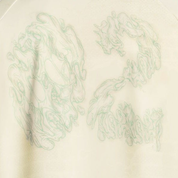 【NIKE SB】JACQUARD SKATEBOARD JERSEY カラー：sail HV4458-133　ナイキ エスビー 半袖 スケートボード スケボー SKATEBOARD