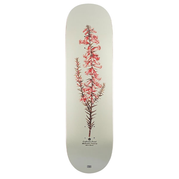 PASS~PORT】Callum Paul PINK HEATH 8.25インチ パスポート スケボー