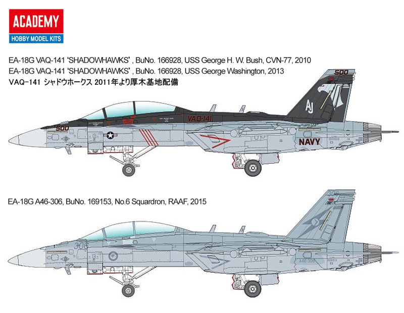 入手困難、非売品、在日米軍の空母艦載機グラウラーVAQ-141司令の指揮官コイン 入手困難、非売品、在日米軍の空母艦載機グラウラーVAQ-141司令