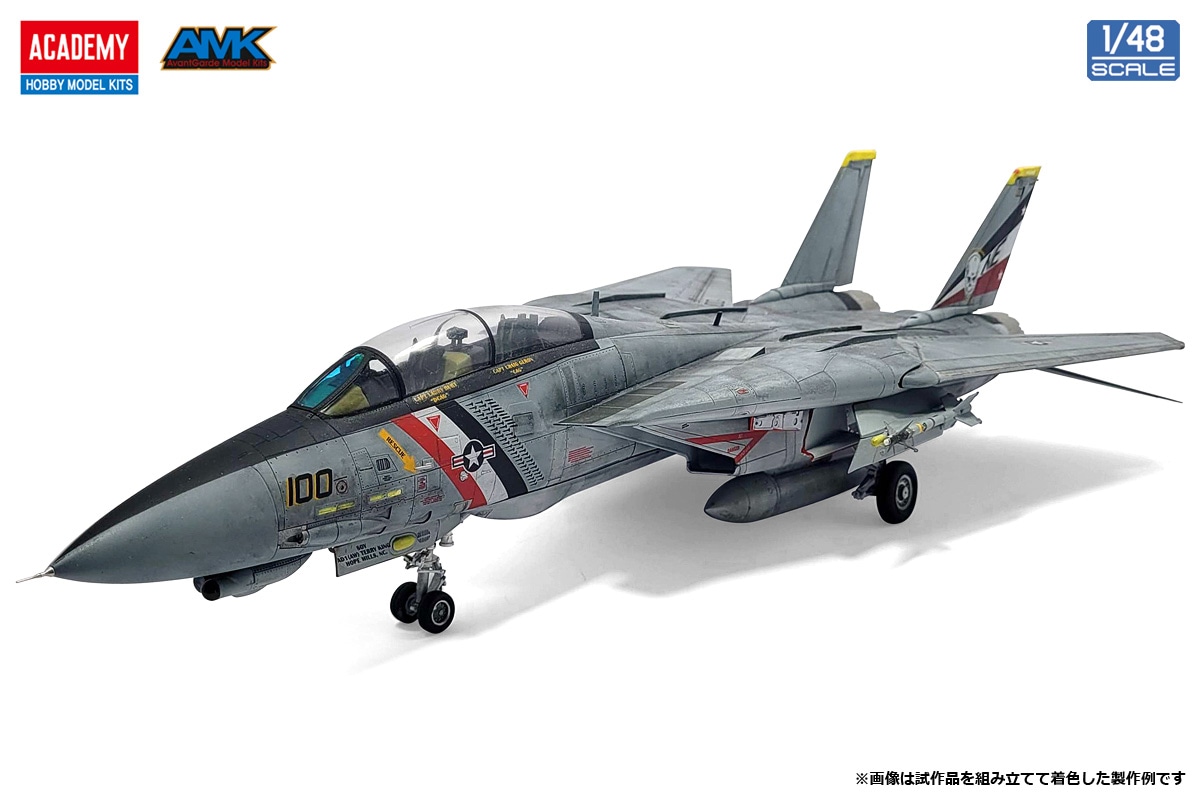 NEW 1/48 F-14D スーパートムキャット 