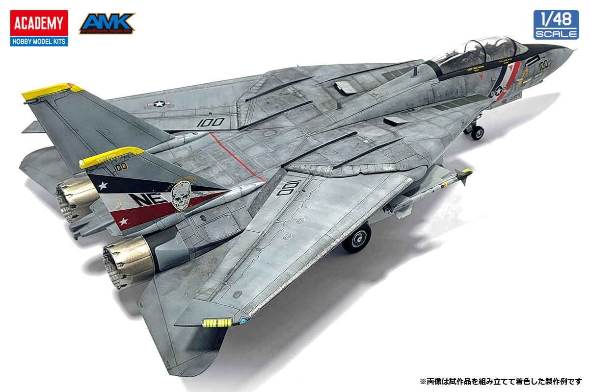 NEW 1/48 F-14D スーパートムキャット 