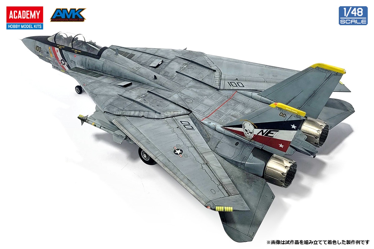 NEW 1/48 F-14D スーパートムキャット 