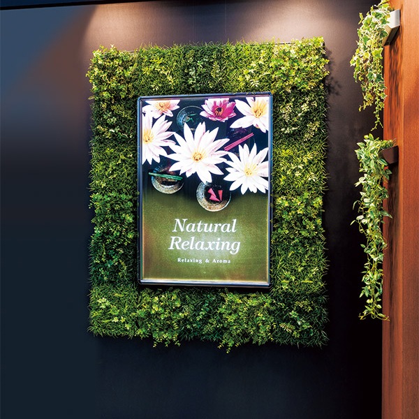 ���꡼��ѥͥ�