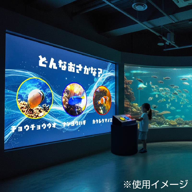 ���󥳥������å�