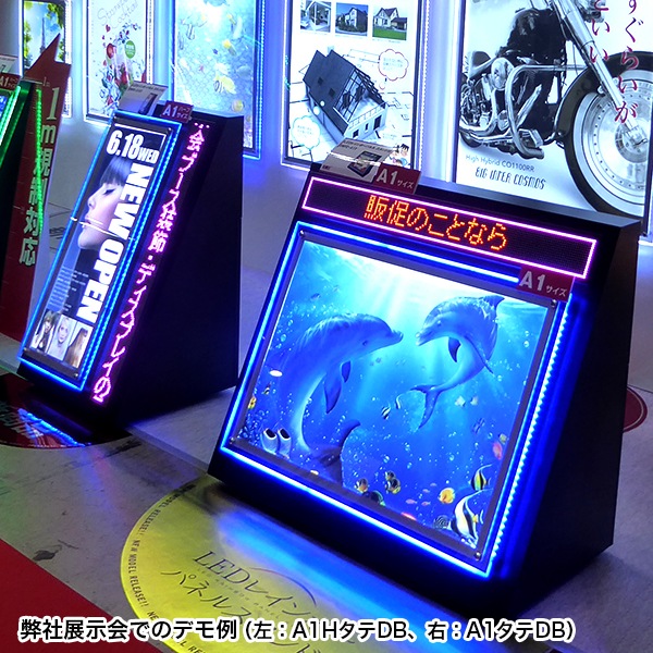 RPץߥ०åɥɡڥǥܡա