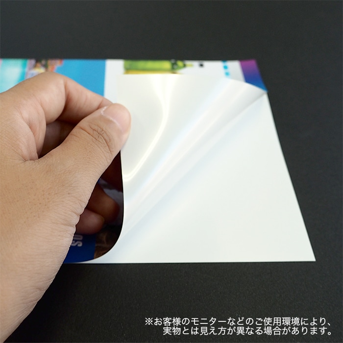 �ϥ����� �ۥ磻��PP