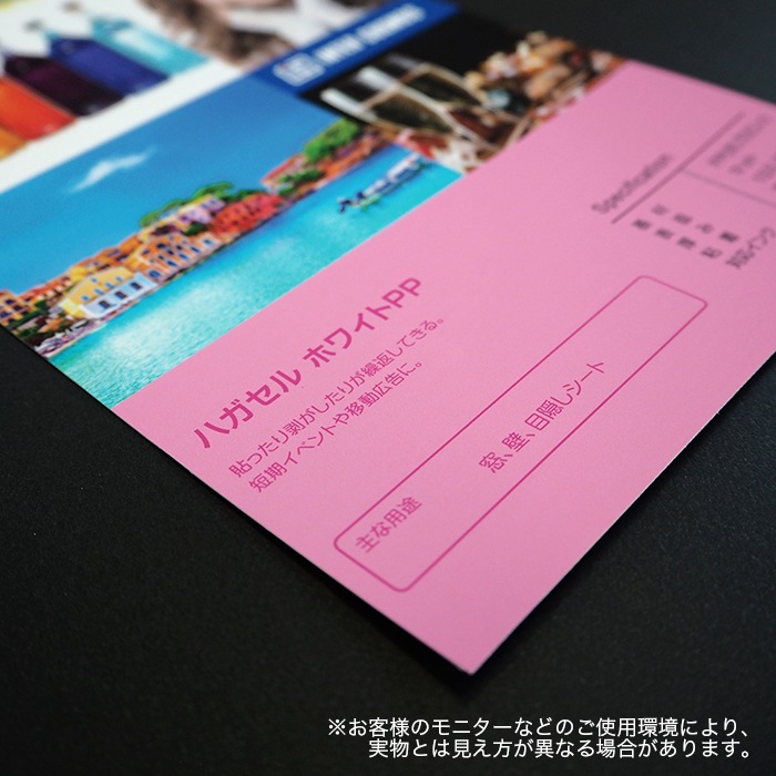 �ϥ����� �ۥ磻��PP