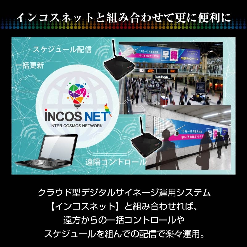 �쥤��ܡ��ӥ����