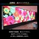 �쥤��ܡ��ӥ����
