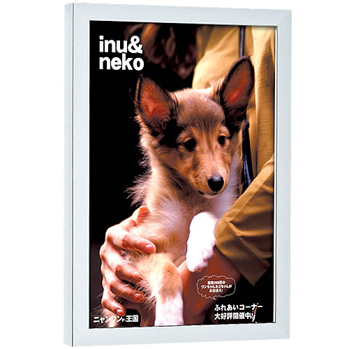 �ݥ������ѥͥ� AP350