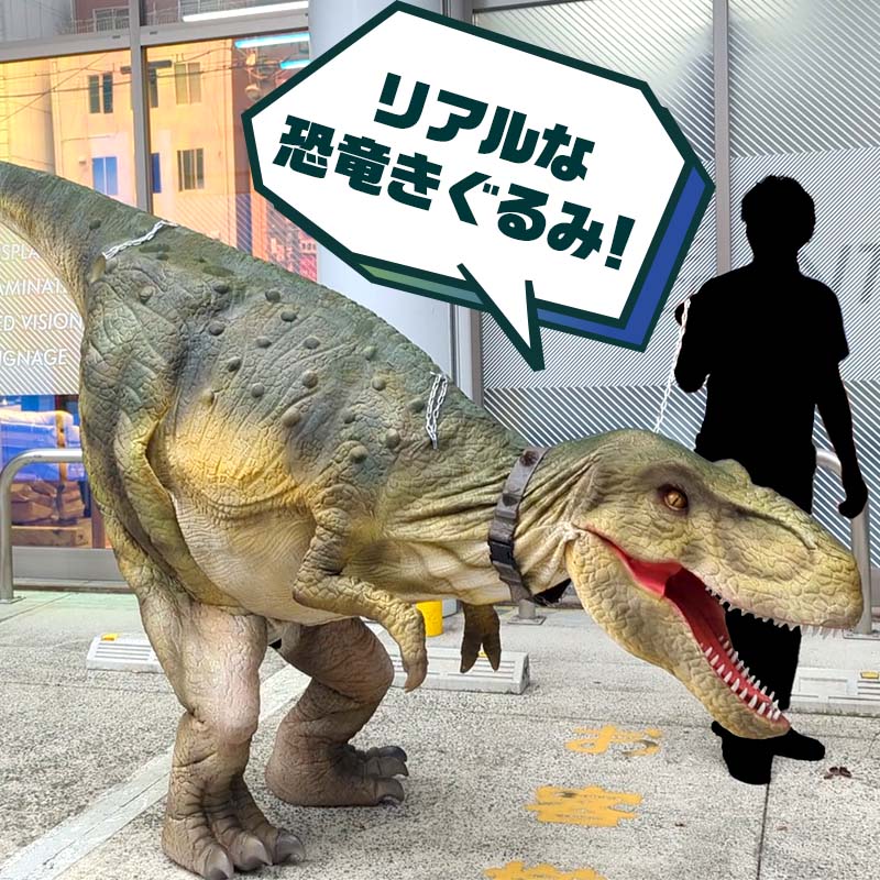 �ǥ��Υ������� IC�ƥ����
