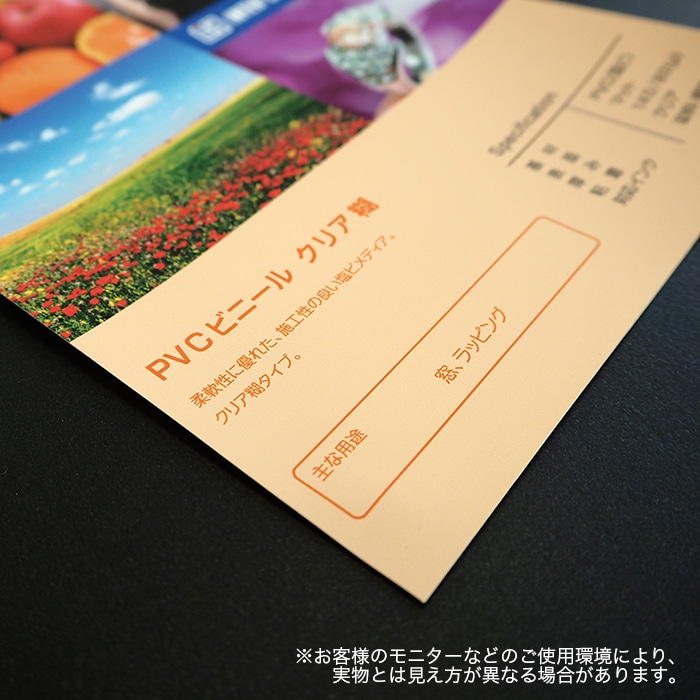 PVC�ӥˡ��� ���ꥢ��