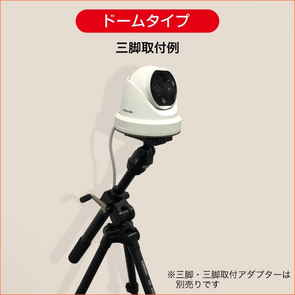 AI�����ޥ륫��� �ɡ��ॿ����