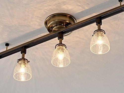 Rudy ��ǥ� ���ݥåȥ饤�� (�����ȥ졼����)