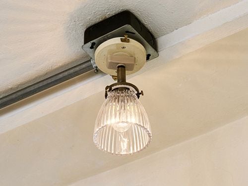 Rudy ��ǥ� ���ݥåȥ饤��