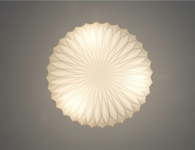 Olin ���꡼�� ������󥰥饤��