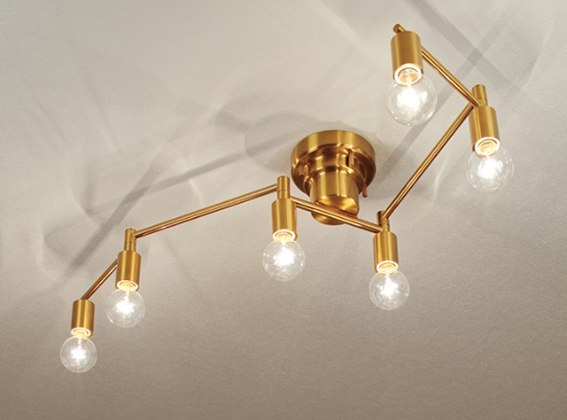 Polare �ݥ顼�� ������󥰥饤��