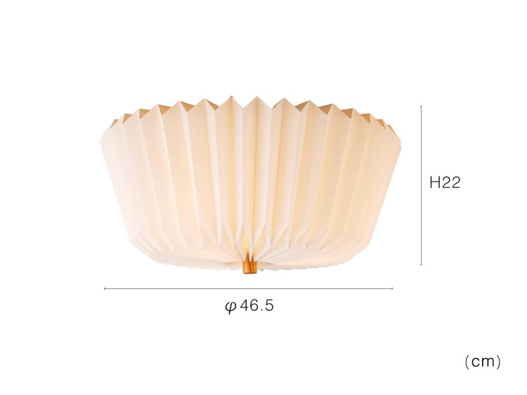 Ordinaire ����ǥ��͡��� ������󥰥饤��