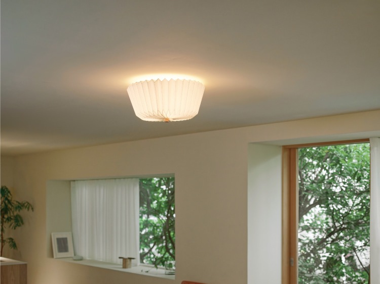 Ordinaire ����ǥ��͡��� ������󥰥饤��