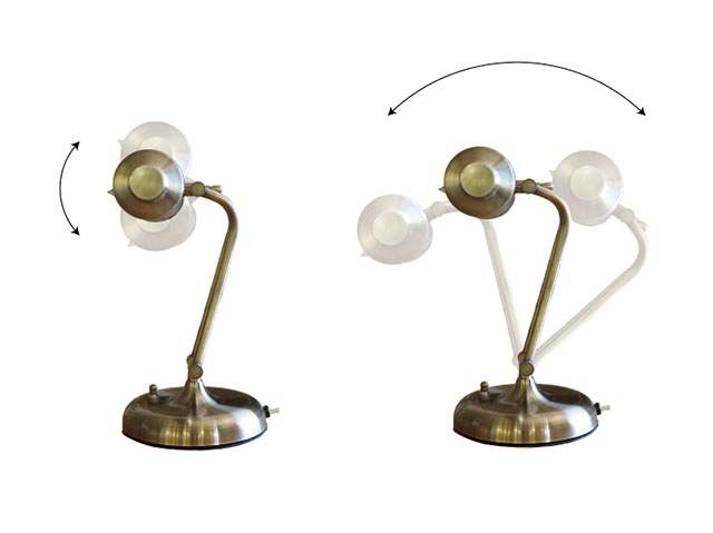 Rocheri �������� �ǥ����饤��