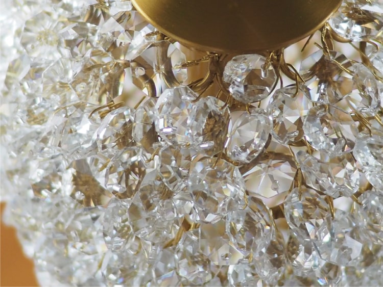 Ortensia ����ƥ󥷥� �ڥ����ȥ饤��