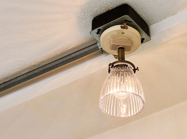 Rudy ��ǥ� ���ݥåȥ饤��