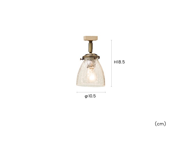 Rudy ��ǥ� ���ݥåȥ饤��