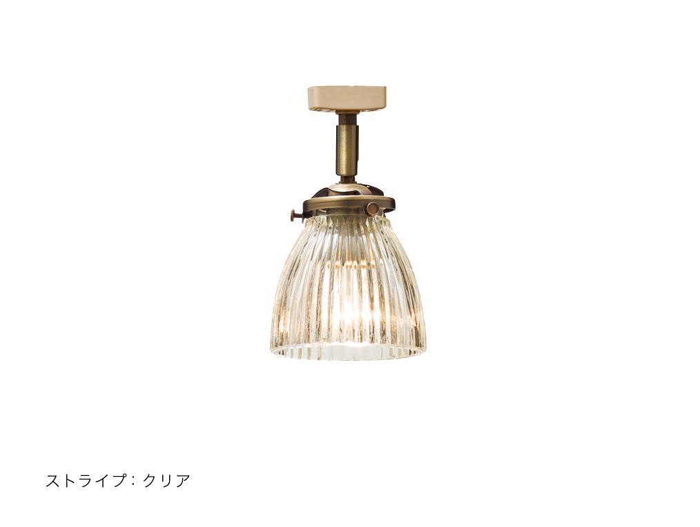 Rudy ��ǥ� ���ݥåȥ饤��