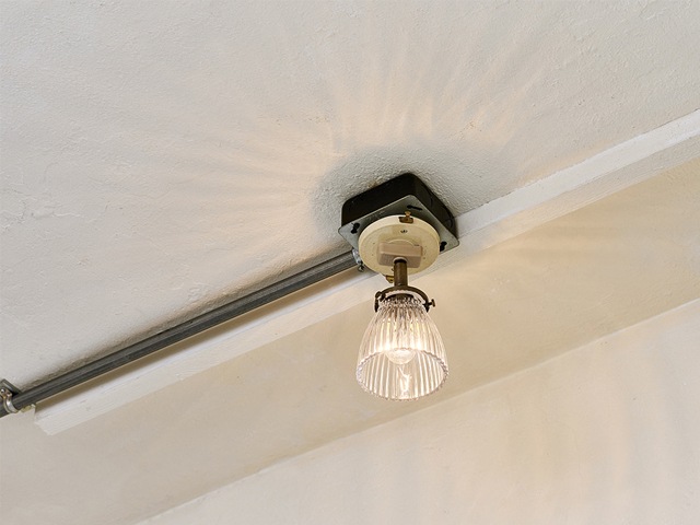 Rudy ��ǥ� ���ݥåȥ饤��