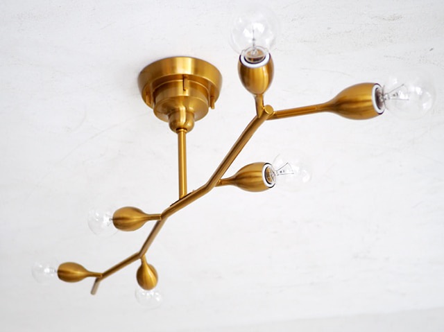 Kladi ����ǥ� ������󥰥饤��