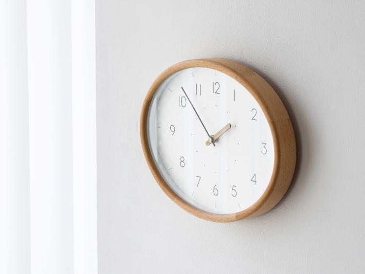 Puinen �ץ��ͥ� �������륯���å�