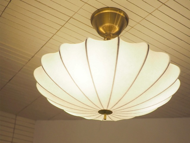 Pluie �ץ�奤 ������󥰥饤��