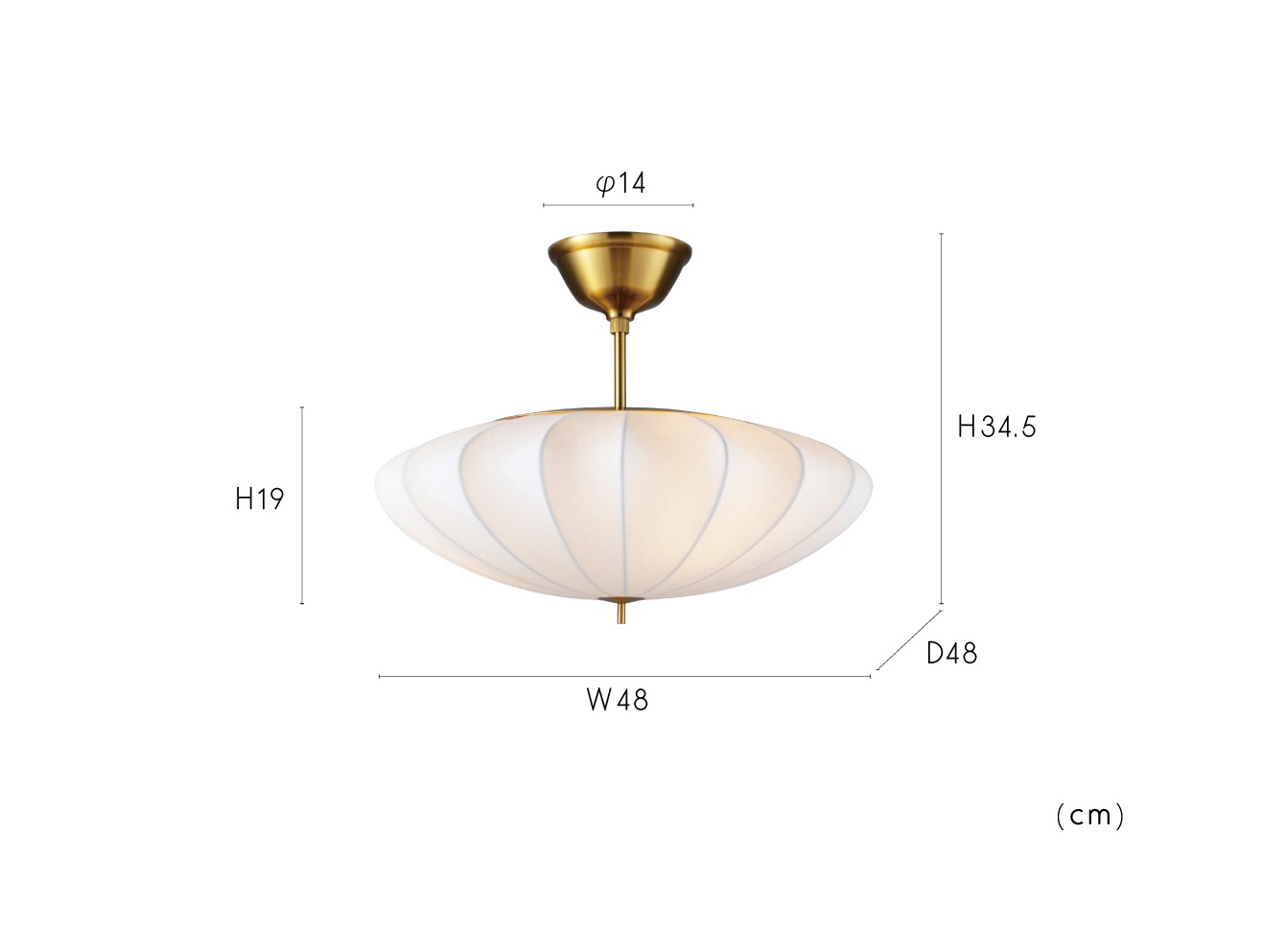 Pluie �ץ�奤 ������󥰥饤��