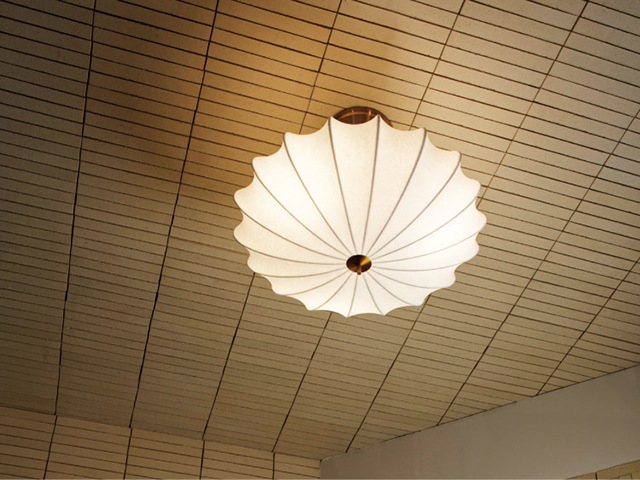 Pluie �ץ�奤 ������󥰥饤��