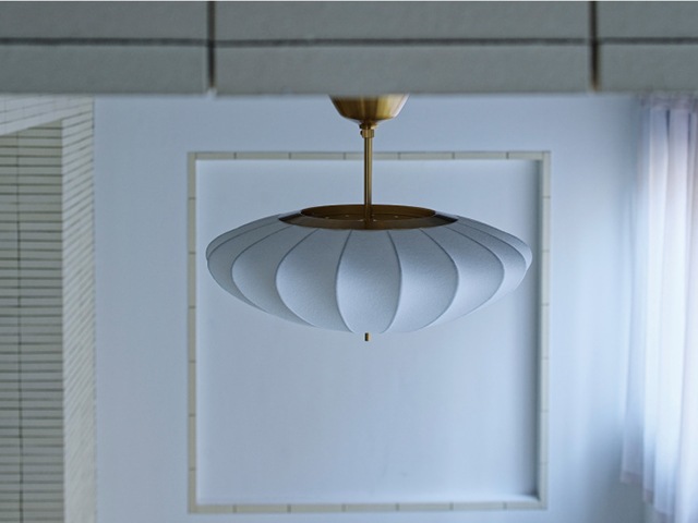 Pluie �ץ�奤 ������󥰥饤��