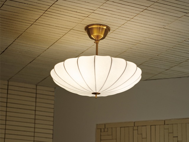 Pluie �ץ�奤 ������󥰥饤��