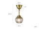 Coroa ������ ���ݥåȥ饤��