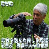 時空を超えた美しき尾瀬 ～写真家 新井幸人の新世界～ | DVD,自然