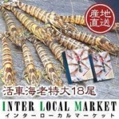 ڤ蘆ۥƥ륺ۤ蘆ֳϷ18510g