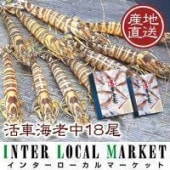 ڤ蘆ۥƥ륺ۤ蘆ֳϷ18350g