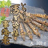 ڤ蘆۳衺ֳϷ硡6 180g