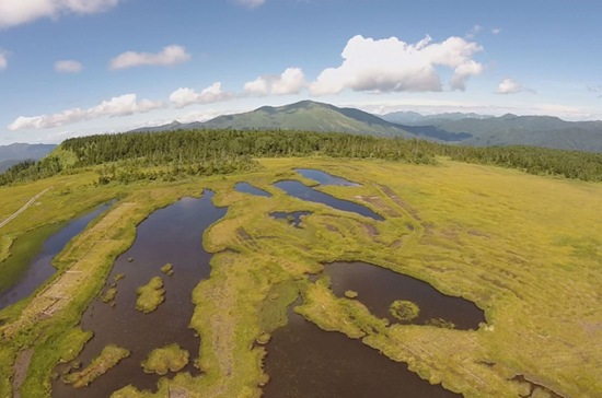 ������Ķ�������������������̿��� ���湬�ͤο�������