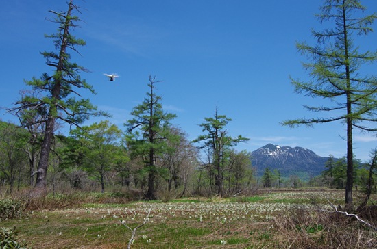 ������Ķ�������������������̿��� ���湬�ͤο�������