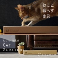  CAT SCRATCHERREVEUSE 01