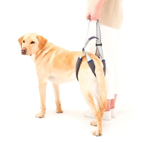 歩行補助ハーネス LaLaWalkSTEP 中型犬&～大型犬用 ［パステルグレー］