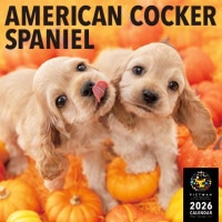PICTWANカレンダー2026【L判】アメリカン・コッカー・スパニエル【送料無料】|2026カレンダー