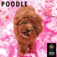 PICTWANカレンダー2026【L判】プードル【送料無料】|2026カレンダー