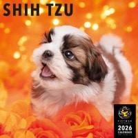PICTWANカレンダー2026【L判】シー・ズー【送料無料】|2026カレンダー