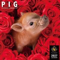PICTWAN��������2027��LȽ�ۥԥå�������̵����