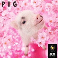 PICTWANカレンダー2026【L判】ピッグ【送料無料】|2026カレンダー